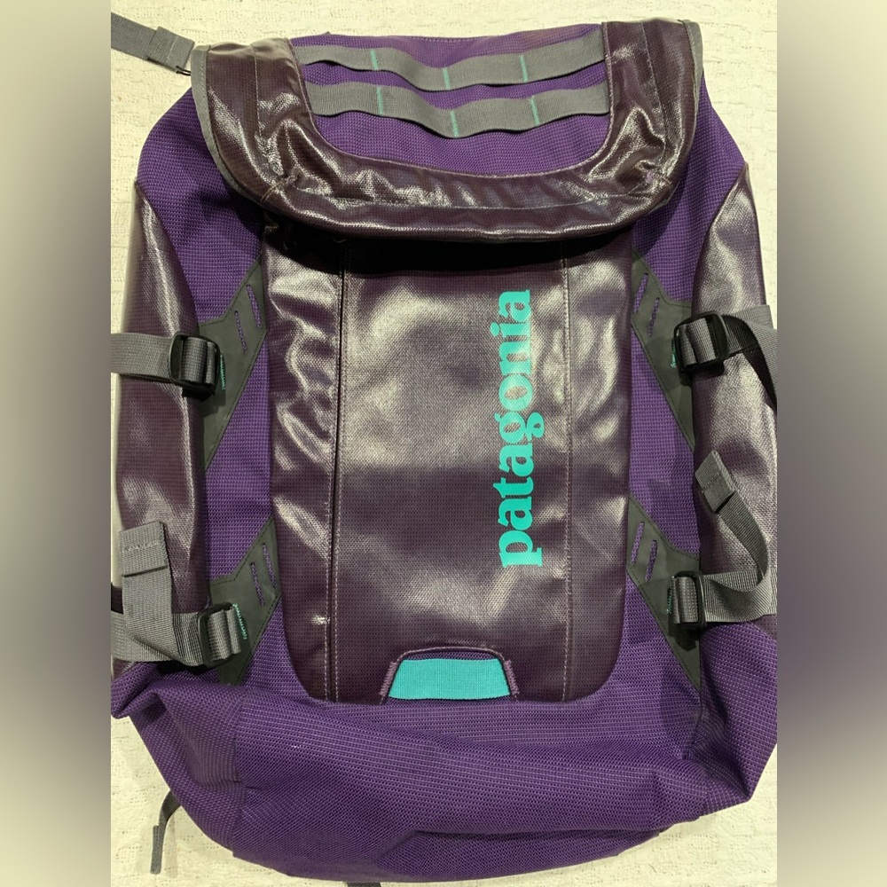 Patagonia Black Hole 35l Daypack Backpack Purple Gem